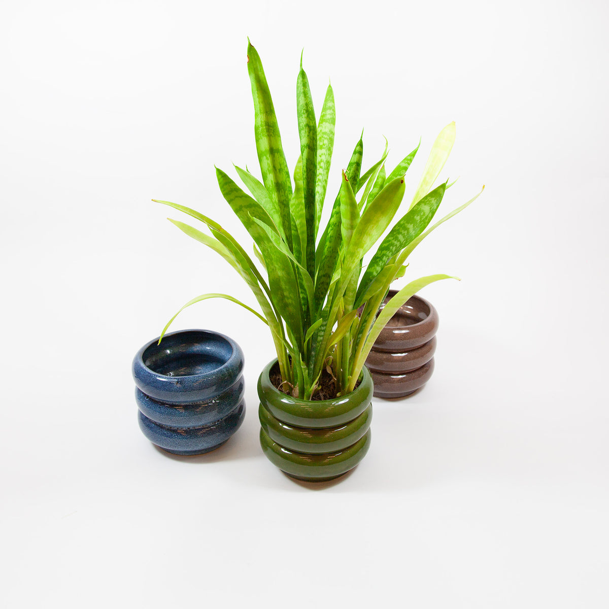 skulpturaler gerillter Blumentopf mit Ringdesign