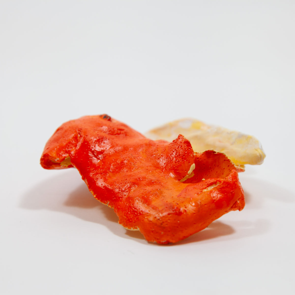 Orangen-Wandskulptur von Banana Business
