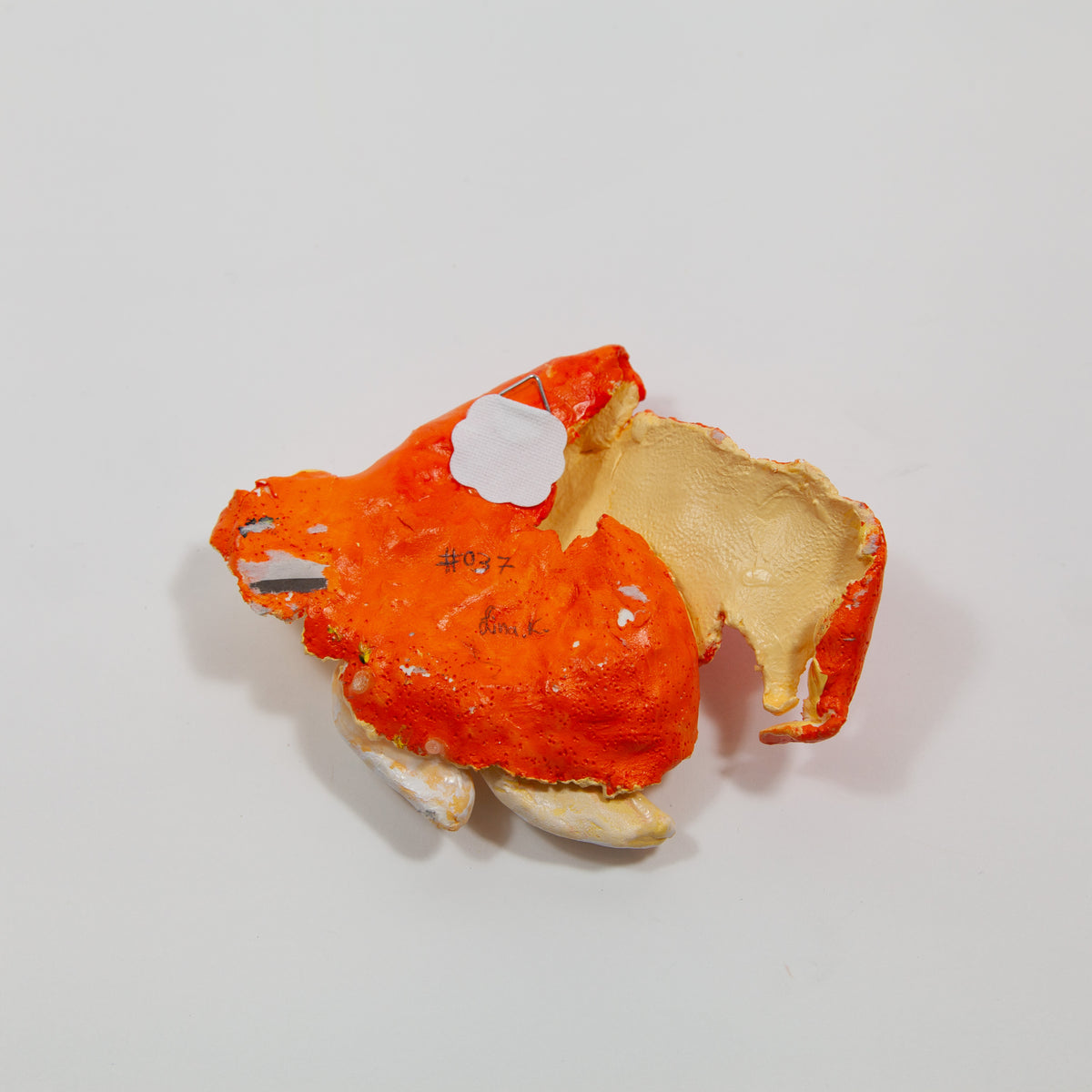 Orangen-Wandskulptur von Banana Business