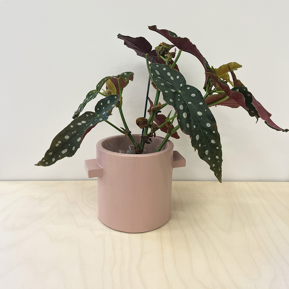 Beton Blumentopf Rosé Lackiert – Bild 2